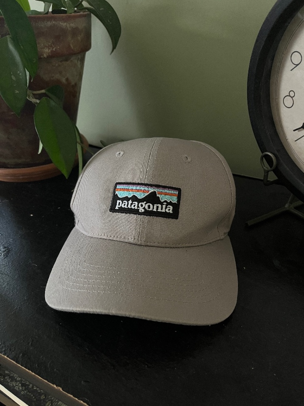 Patagonia Hat